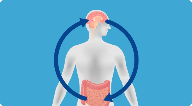 Articolo Nocicettivo 
